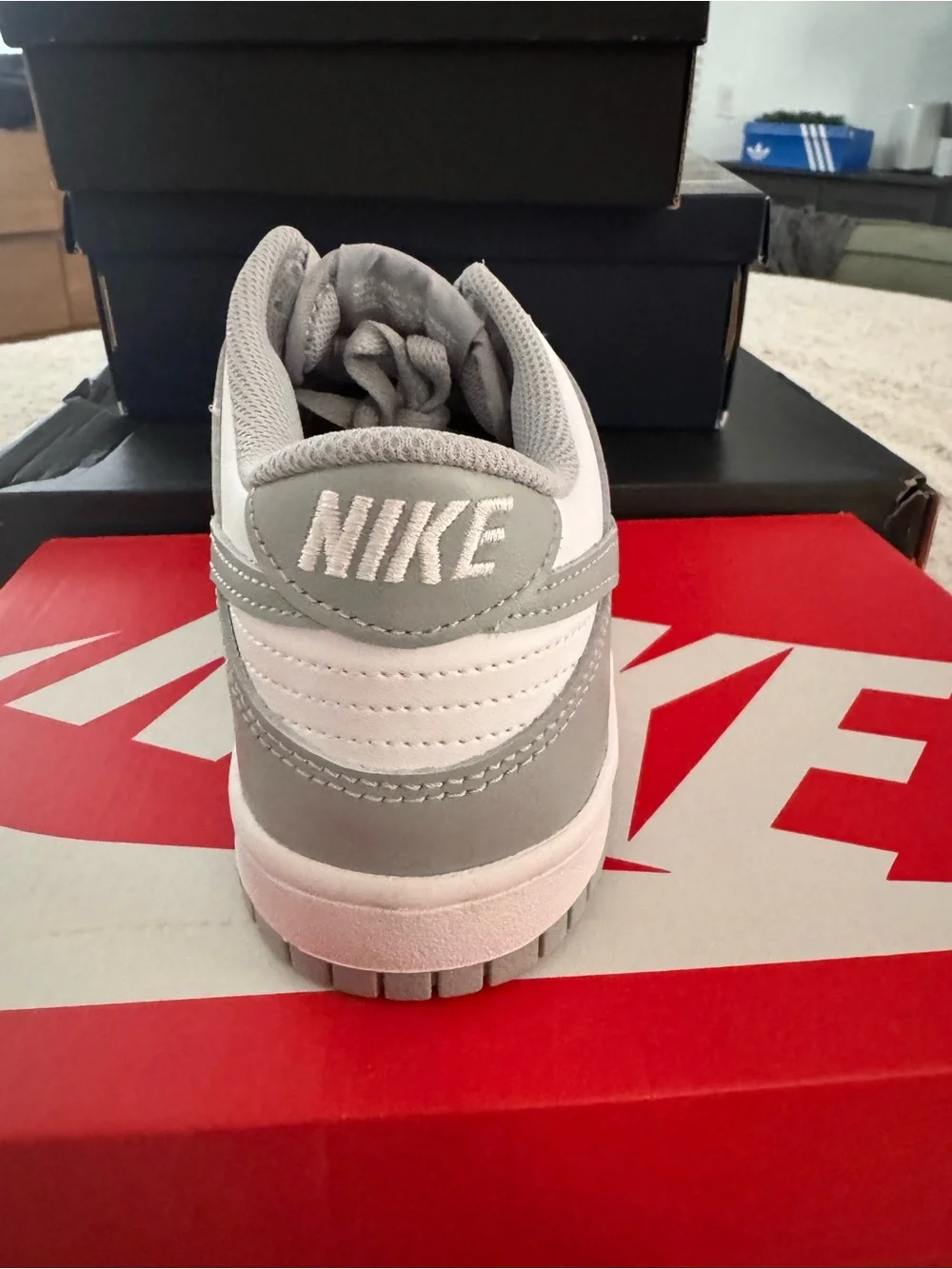Nike Grey and White Low-Top Skate/Sneaker